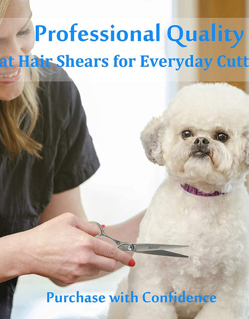 Load image into Gallery viewer, Dog Grooming Thinning Blending Scissor, Ergonomic Pet Grooming Thinner Blender Shears Cat Trimming Texturizing Kit with Offset Handle and a Jewelled Screw
