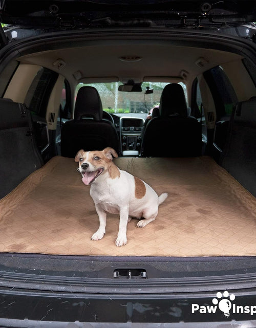 Load image into Gallery viewer, Washable Pee Pads for Dogs | Reusable Puppy Pads | Waterproof Whelping Pads | Washable Training Pet Pads, Washable Potty Pads (48X60 (1 Pack))
