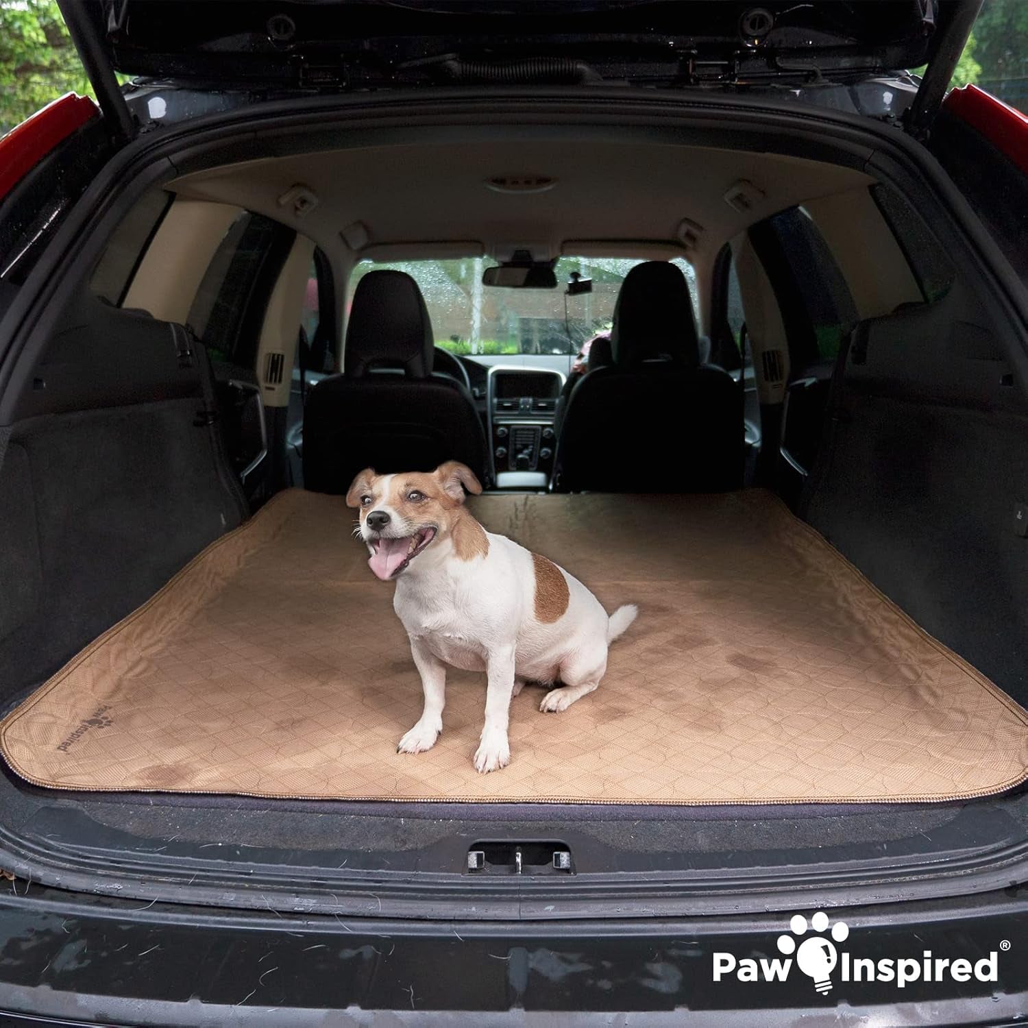 Washable Pee Pads for Dogs | Reusable Puppy Pads | Waterproof Whelping Pads | Washable Training Pet Pads, Washable Potty Pads (48X60 (1 Pack))