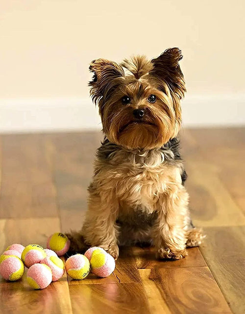 Load image into Gallery viewer, X-Small Dog Tennis Balls 1.5&quot; Pack of 12- Puppy Mini Fetch Pet Little Tennis Balls -Yellow/Pink
