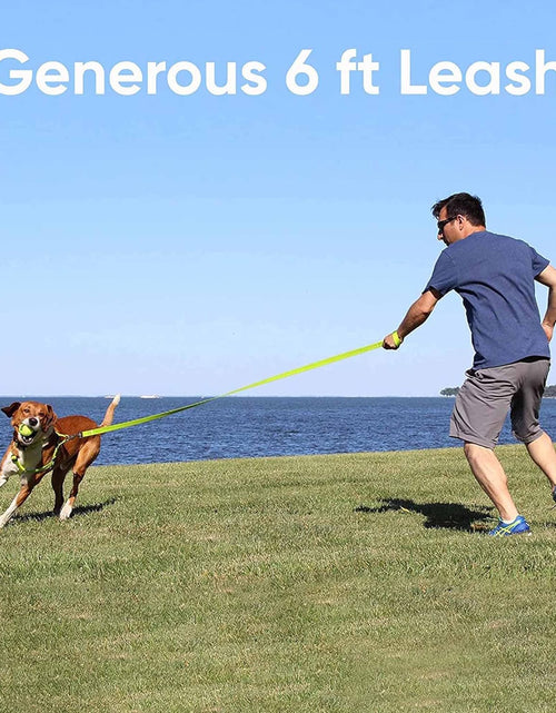 Load image into Gallery viewer, Solid Puppy Leash Dog Leash Dog Training Leash 6 Ft Dog Leash Behavioral Dog Leash Available in Extra Extra Small ( Miniature Dogs and Cats ) I Extra Small / Small and Medium / Large
