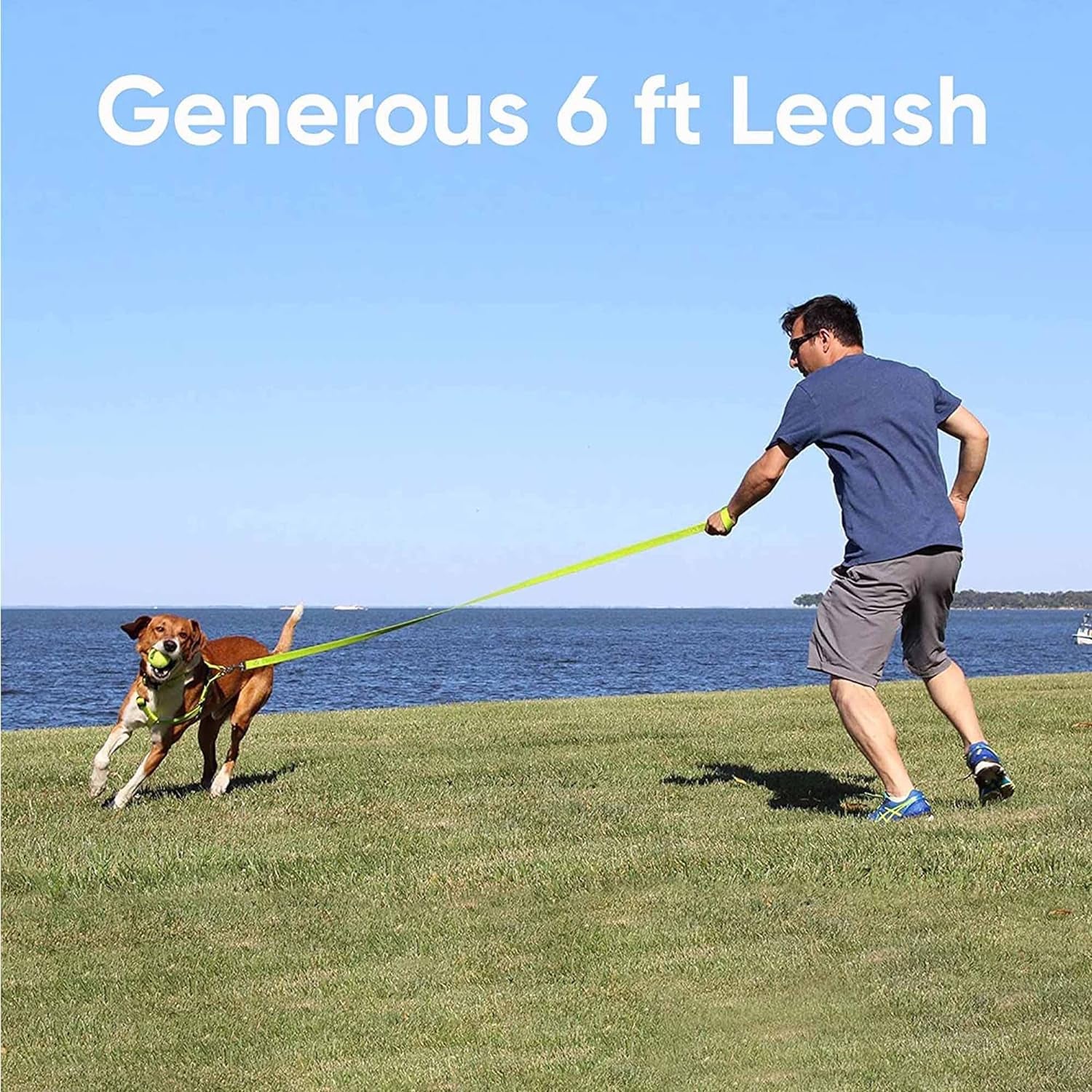 Solid Puppy Leash Dog Leash Dog Training Leash 6 Ft Dog Leash Behavioral Dog Leash Available in Extra Extra Small ( Miniature Dogs and Cats ) I Extra Small / Small and Medium / Large