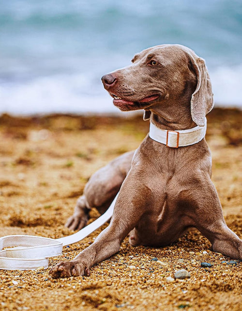 Load image into Gallery viewer, Dog Collar and Leash Set, Soft White Velvet Dog Collar and Leash, Adjustable Collars for Dogs
