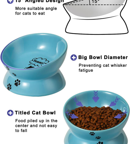 Elevated Cat Food Bowl, Ceramic Raised Cat Bowl, Tilt Angle Protect Cat'S Spine, anti Vomiting Cat Dish, Backflow Prevention, Lake Blue