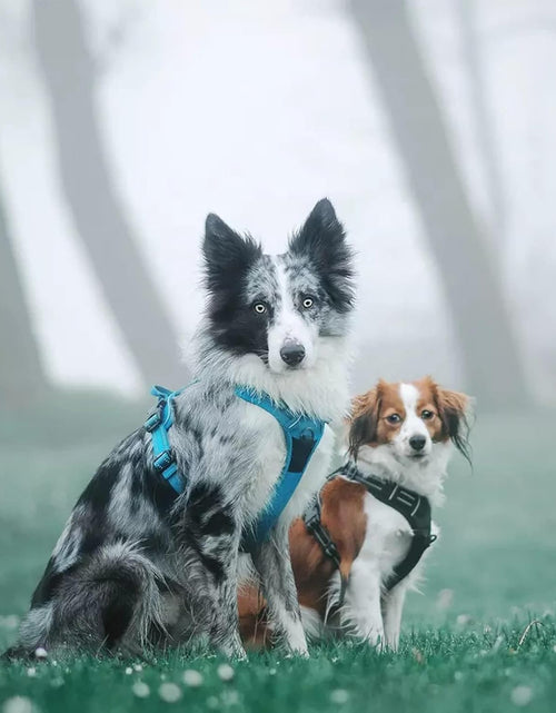 Load image into Gallery viewer, Truelove Adjustable No-Pull Dog Harness Reflective Pup Vest Harnesses Comfortable Control Brilliant Colors Tlh5651(Blue,Xs)
