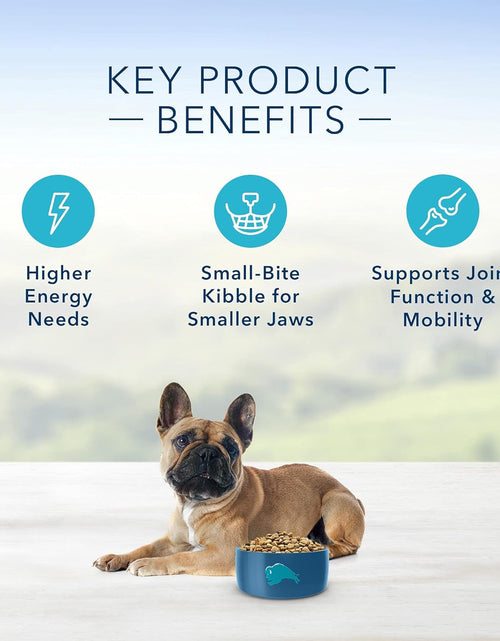 Load image into Gallery viewer, Life Protection Formula Natural Adult Small Breed Dry Dog Food, Chicken and Brown Rice 6-Lb
