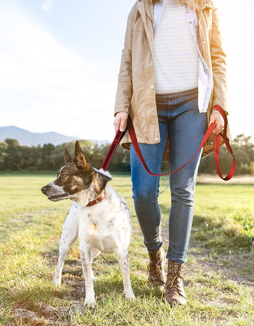Load image into Gallery viewer, 4FT 1IN Strong Red Dog Leash with 2 Padded Handles, Traffic Handle Extra Control, Comfortable Soft Dual Handle, Auto Lock Hook, Reflective Walking Lead for Small Medium and Large Dogs
