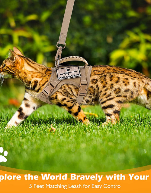 Load image into Gallery viewer, Tactical Cat Harness and Leash Set for Walking Escape Proof, Adjustable Large Cat Vest Harness with Molle Patches, Soft Mesh Padding, Rubber Handle Easy to Control
