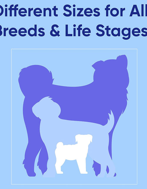 Load image into Gallery viewer, Solid Puppy Leash Dog Leash Dog Training Leash 6 Ft Dog Leash Behavioral Dog Leash Available in Extra Extra Small ( Miniature Dogs and Cats ) I Extra Small / Small and Medium / Large
