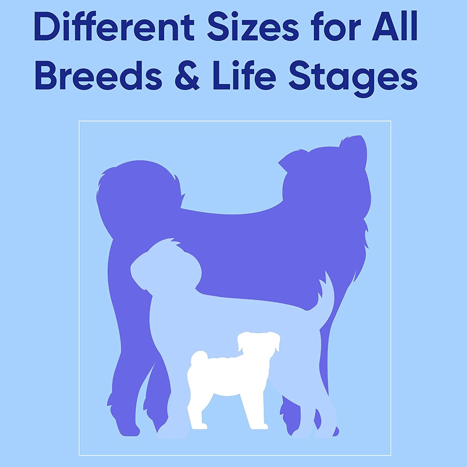 Solid Puppy Leash Dog Leash Dog Training Leash 6 Ft Dog Leash Behavioral Dog Leash Available in Extra Extra Small ( Miniature Dogs and Cats ) I Extra Small / Small and Medium / Large