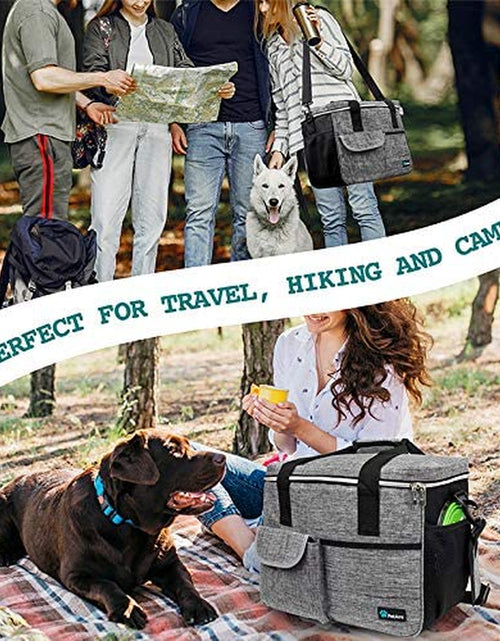 Load image into Gallery viewer, Dog Travel Bag | Airline Approved Tote Organizer with Multi-Function Pockets, Food Container Bag and Collapsible Bowl | Perfect Weekend Pet Travel Set for Dog, Cat (Grey, Large)
