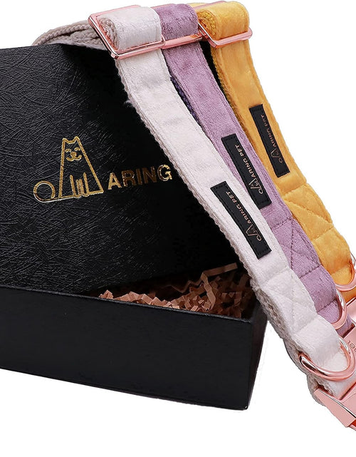 Load image into Gallery viewer, Dog Collar and Leash Set, Soft White Velvet Dog Collar and Leash, Adjustable Collars for Dogs
