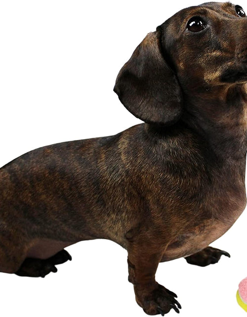 Load image into Gallery viewer, X-Small Dog Tennis Balls 1.5&quot; Pack of 12- Puppy Mini Fetch Pet Little Tennis Balls -Yellow/Pink
