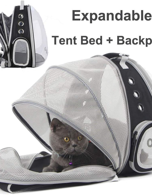 Load image into Gallery viewer, Cat Bubble Backpack Carrier, Space Capsule Transparent Pet Carrier Backpack for Small Dog, Pet Carrying Hiking Traveling Backpack
