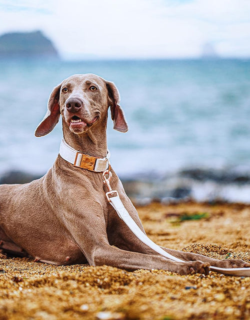 Load image into Gallery viewer, Dog Collar and Leash Set, Soft White Velvet Dog Collar and Leash, Adjustable Collars for Dogs
