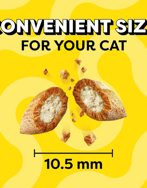 Load image into Gallery viewer, Indoor Care Crunchy and Soft Cat Treats, Chicken Flavor, 4.9 Oz. Pouch (Pack of 10)
