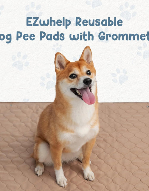 Load image into Gallery viewer, Washable Pee Pads for Dogs - Waterproof Training Pads for Dogs, Reusable &amp; Sanitary, Rounded Corners, Laminated, Lightweight, Durable, Pet Essentials for Training and Whelping, 47&quot; X 47&quot;
