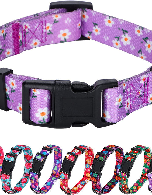Load image into Gallery viewer, Girl Dog Collars Spring Cute Daisy Flower Pattern Lovely Print and American Flag Print Dog Collar
