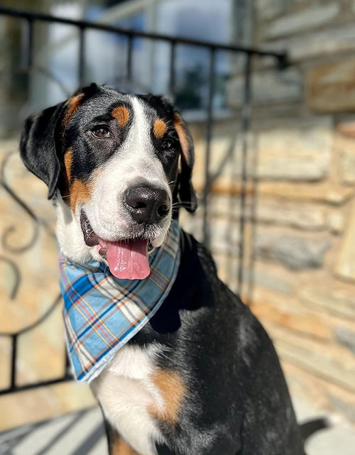 Load image into Gallery viewer, Dog Bandana for Small Medium Large Dogs, Cat Dog Kerchief Dog Triangle Bibs Scarf for Girl or Boy
