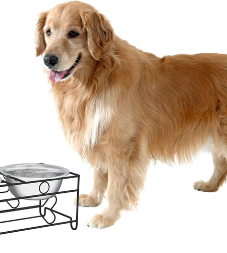 Stainless Steel Raised Food and Water Bowls with Decorative Stand Collection, Elevated Feeding Station for Dogs, Cats, and Pets - 2 Pack