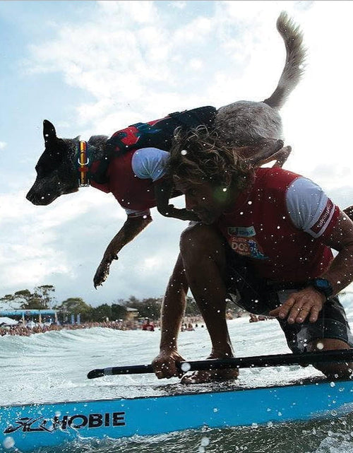 Load image into Gallery viewer, Doggy Flotation Device Dog Life Vest Jacket (DFD)
