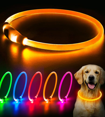 LED Dog Collar, USB Rechargeable Glowing Lighted up Collar, Cuttable Water-Resistant TPU Safety Collar Lights for Small Medium Large Dogs