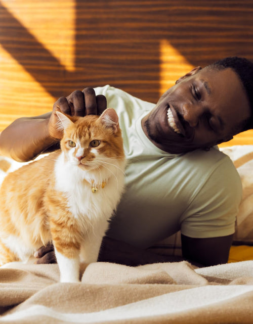 Load image into Gallery viewer, Indoor Care Crunchy and Soft Cat Treats, Chicken Flavor, 4.9 Oz. Pouch (Pack of 10)
