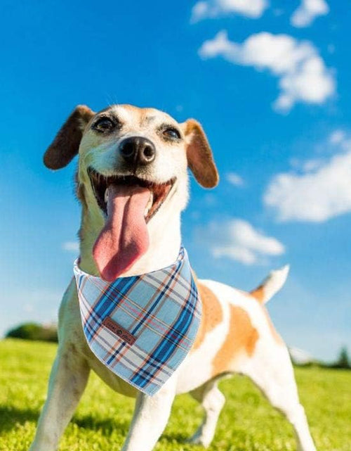 Load image into Gallery viewer, Dog Bandana for Small Medium Large Dogs, Cat Dog Kerchief Dog Triangle Bibs Scarf for Girl or Boy
