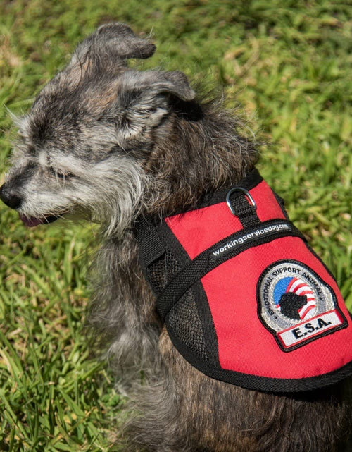 Load image into Gallery viewer, Premium Emotional Support Dog Vest | ESA Dog Vest | Mesh Cooling Panel | Emotional Support Dog Harness | Includes 5 Federal Law ESA Handout Cards (18&quot; - 22&quot; Girth, Red)
