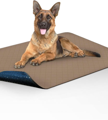 Washable Pee Pads for Dogs | Reusable Puppy Pads | Waterproof Whelping Pads | Washable Training Pet Pads, Washable Potty Pads (48X60 (1 Pack))