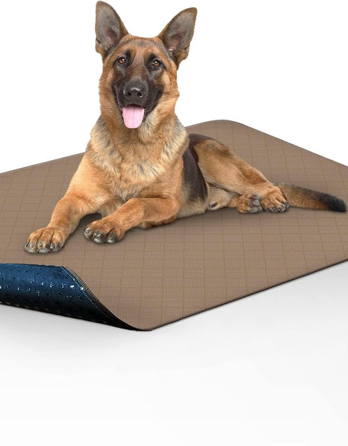 Load image into Gallery viewer, Washable Pee Pads for Dogs | Reusable Puppy Pads | Waterproof Whelping Pads | Washable Training Pet Pads, Washable Potty Pads (48X60 (1 Pack))
