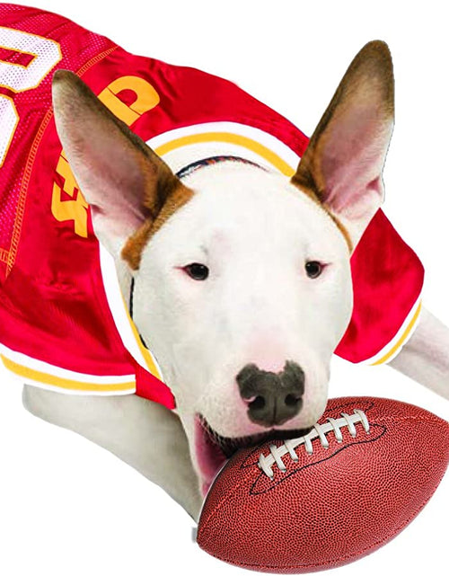 Load image into Gallery viewer, NFL Chicago Bears MESH Jersey for Dogs &amp; Cats
