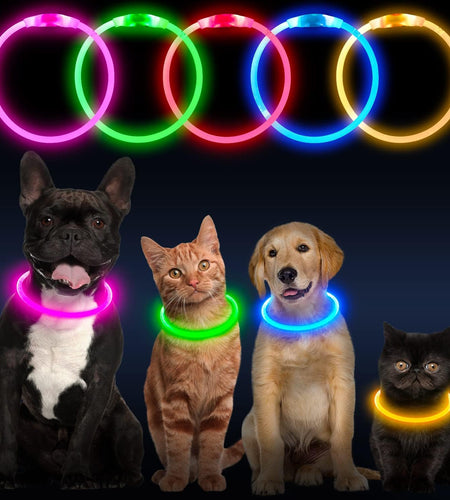LED Dog Collar, USB Rechargeable Glowing Lighted up Collar, Cuttable Water-Resistant TPU Safety Collar Lights for Small Medium Large Dogs