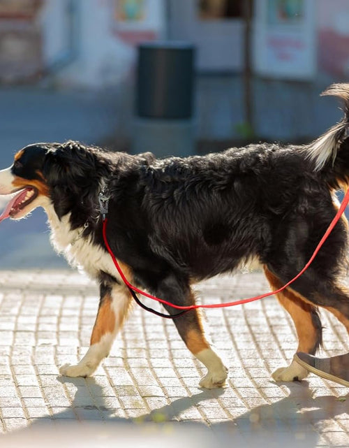 Load image into Gallery viewer, 4FT 1IN Strong Red Dog Leash with 2 Padded Handles, Traffic Handle Extra Control, Comfortable Soft Dual Handle, Auto Lock Hook, Reflective Walking Lead for Small Medium and Large Dogs
