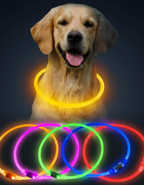 Load image into Gallery viewer, LED Dog Collar, USB Rechargeable Glowing Lighted up Collar, Cuttable Water-Resistant TPU Safety Collar Lights for Small Medium Large Dogs
