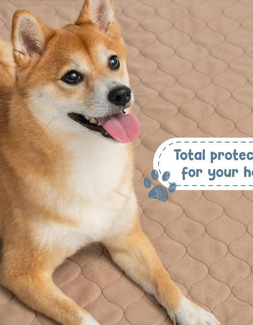 Load image into Gallery viewer, Washable Pee Pads for Dogs - Waterproof Training Pads for Dogs, Reusable &amp; Sanitary, Rounded Corners, Laminated, Lightweight, Durable, Pet Essentials for Training and Whelping, 47&quot; X 47&quot;
