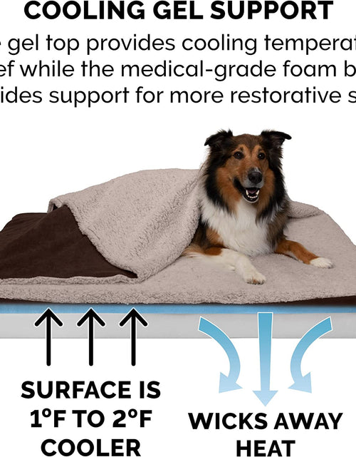 Load image into Gallery viewer, Orthopedic, Cooling Gel, and Memory Foam Pet Beds for Small, Medium, and Large Dogs and Cats - Luxe Perfect Comfort Sofa Dog Bed, Performance Linen Sofa Dog Bed, and More
