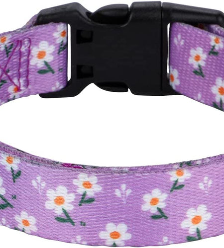 Girl Dog Collars Spring Cute Daisy Flower Pattern Lovely Print and American Flag Print Dog Collar