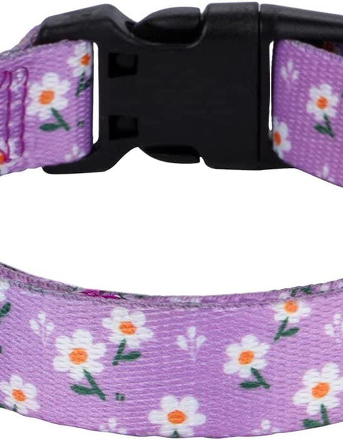 Load image into Gallery viewer, Girl Dog Collars Spring Cute Daisy Flower Pattern Lovely Print and American Flag Print Dog Collar
